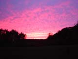 click to zoom in .. 
P9260137.jpg
1600x1200
(952,884 bytes)